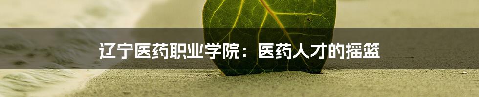 辽宁医药职业学院:医药人才的摇篮