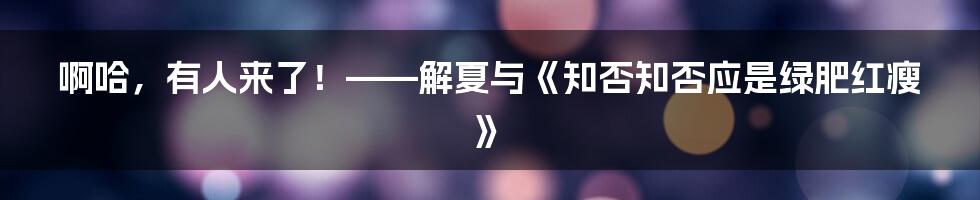 啊哈,有人来了!——解夏与《知否知否应是绿肥红瘦》