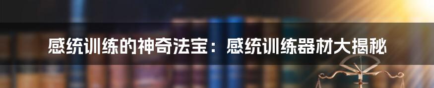 感统训练的神奇法宝:感统训练器材大揭秘