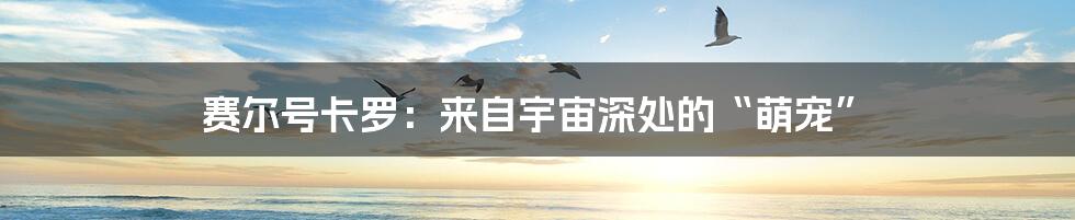 赛尔号卡罗:来自宇宙深处的“萌宠”