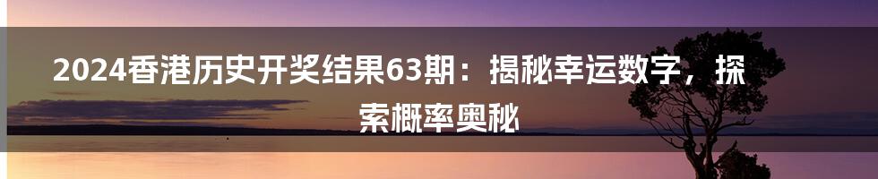 2024香港历史开奖结果63期:揭秘幸运数字,探索概率奥秘