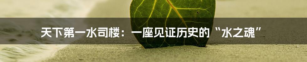 天下第一水司楼：一座见证历史的“水之魂”