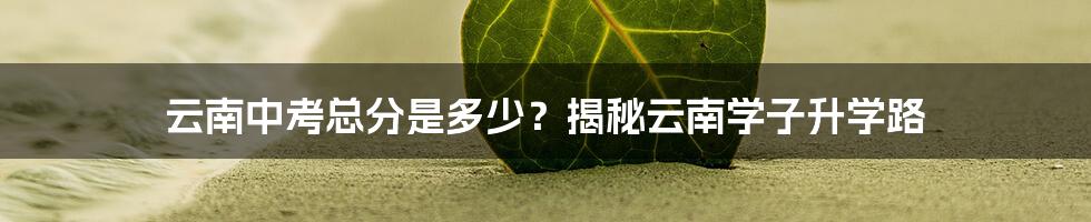 云南中考总分是多少?揭秘云南学子升学路