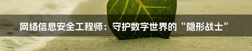 网络信息安全工程师:守护数字世界的“隐形战士”