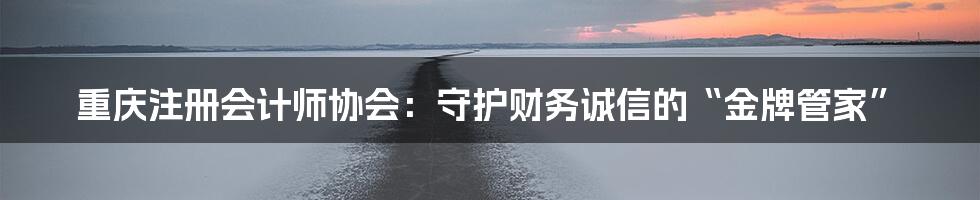 重庆注册会计师协会：守护财务诚信的“金牌管家”