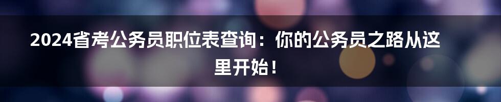 2024省考公务员职位表查询：你的公务员之路从这里开始！