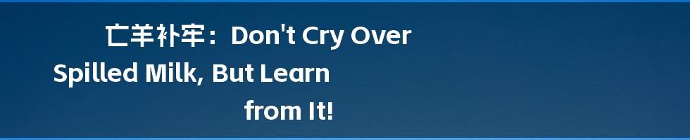 亡羊补牢:Don't Cry Over Spilled Milk, But Learn from It!