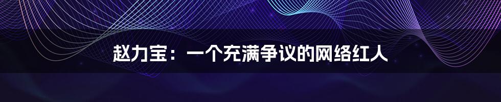 赵力宝:一个充满争议的网络红人