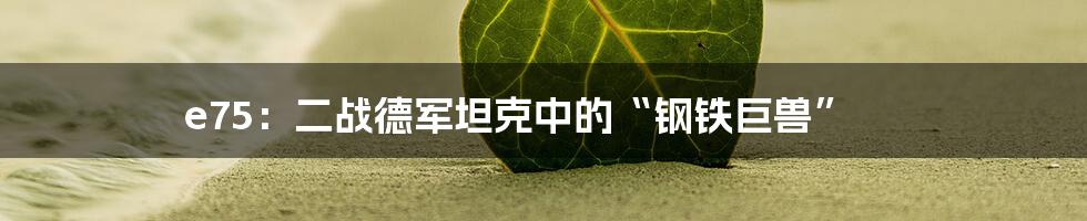 e75:二战德军坦克中的“钢铁巨兽”