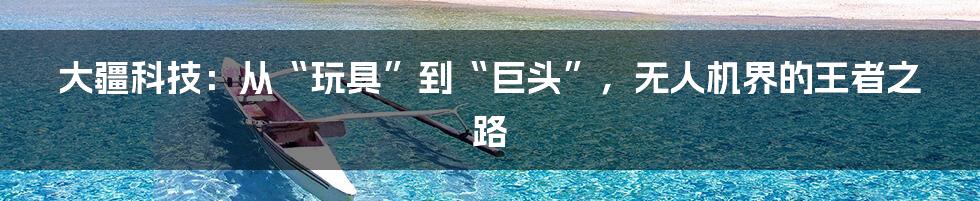 大疆科技:从“玩具”到“巨头”,无人机界的王者之路