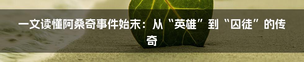 一文读懂阿桑奇事件始末：从“英雄”到“囚徒”的传奇