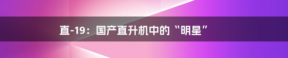 直-19:国产直升机中的“明星”