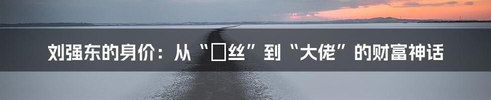刘强东的身价：从“屌丝”到“大佬”的财富神话