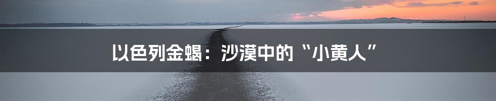 以色列金蝎:沙漠中的“小黄人”