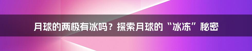 月球的两极有冰吗?探索月球的“冰冻”秘密