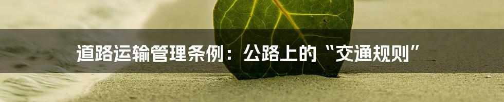 道路运输管理条例:公路上的“交通规则”