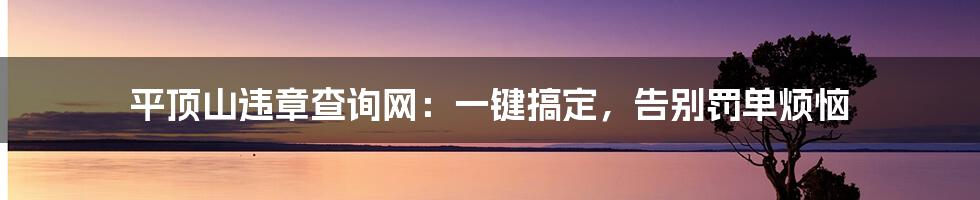 平顶山违章查询网：一键搞定，告别罚单烦恼