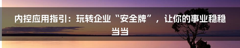 内控应用指引:玩转企业“安全牌”,让你的事业稳稳当当