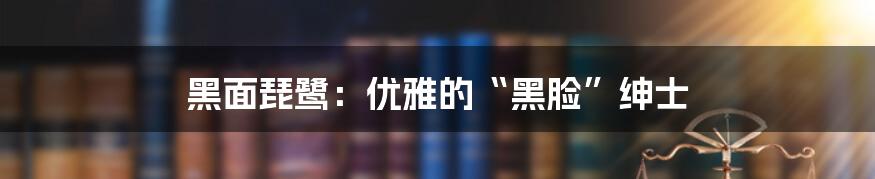 黑面琵鹭:优雅的“黑脸”绅士