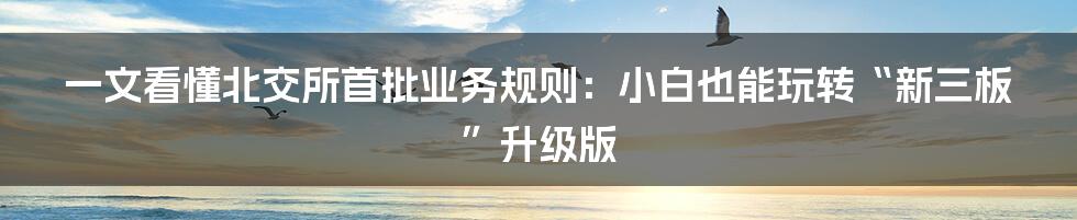 一文看懂北交所首批业务规则:小白也能玩转“新三板”升级版