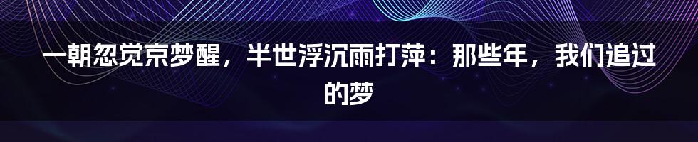 一朝忽觉京梦醒,半世浮沉雨打萍:那些年,我们追过的梦