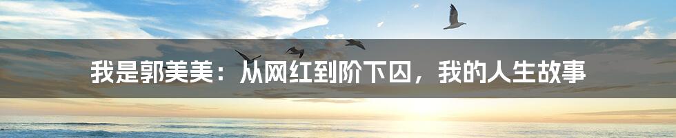 我是郭美美:从网红到阶下囚,我的人生故事