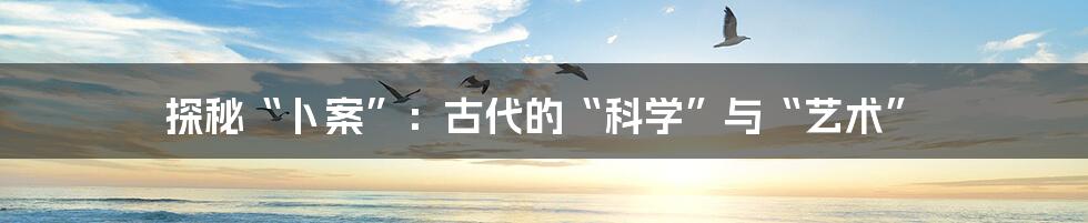 探秘“卜案”:古代的“科学”与“艺术”