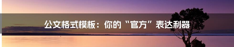公文格式模板:你的“官方”表达利器