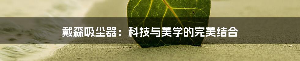 戴森吸尘器：科技与美学的完美结合