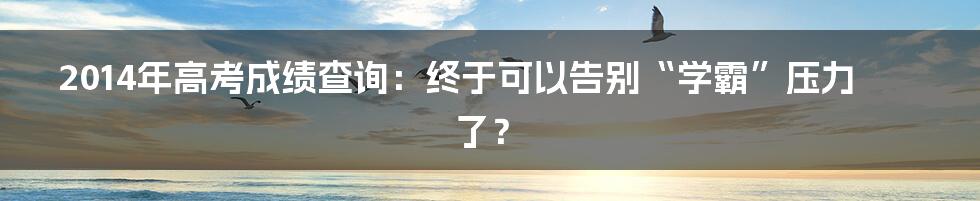 2014年高考成绩查询:终于可以告别“学霸”压力了?
