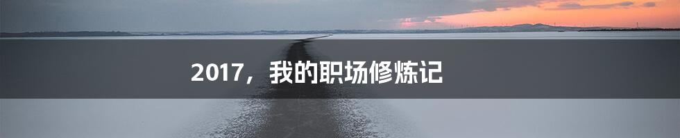 2017,我的职场修炼记