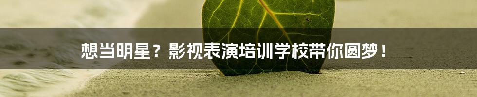 想当明星？影视表演培训学校带你圆梦！