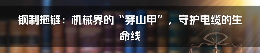 钢制拖链:机械界的“穿山甲”,守护电缆的生命线