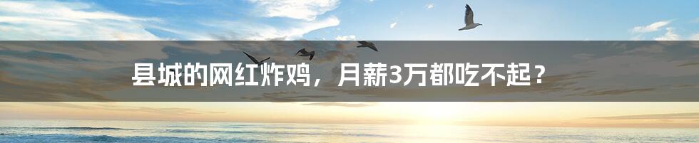 县城的网红炸鸡，月薪3万都吃不起？