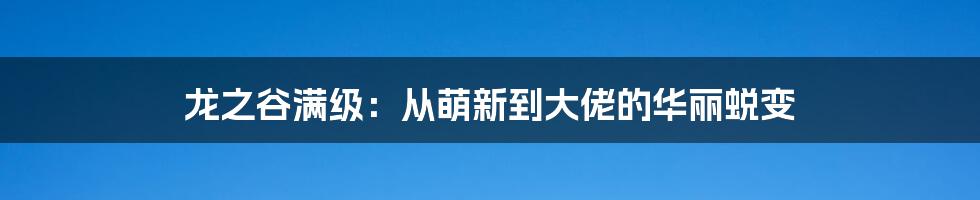 龙之谷满级:从萌新到大佬的华丽蜕变