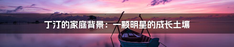丁汀的家庭背景:一颗明星的成长土壤