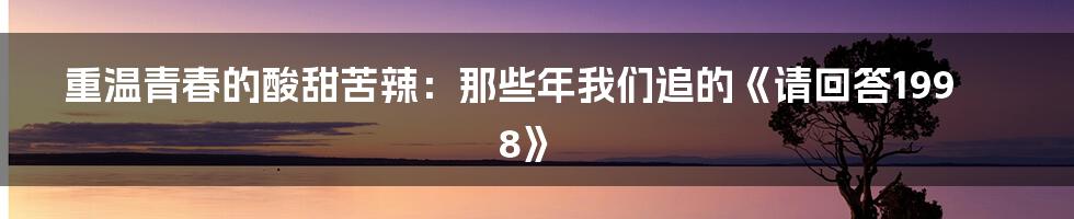 重温青春的酸甜苦辣:那些年我们追的《请回答1998》