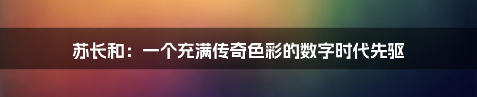 苏长和:一个充满传奇色彩的数字时代先驱