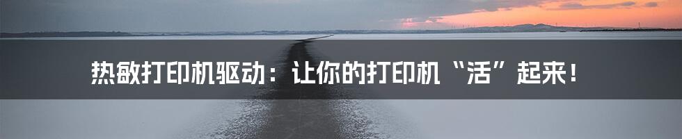 热敏打印机驱动:让你的打印机“活”起来!