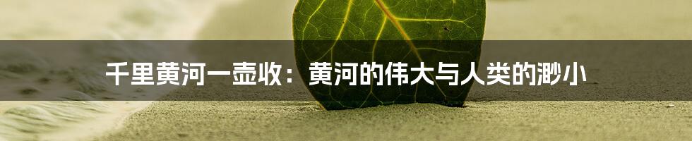 千里黄河一壶收:黄河的伟大与人类的渺小