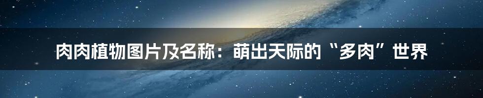 肉肉植物图片及名称:萌出天际的“多肉”世界