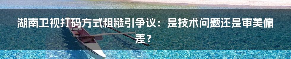 湖南卫视打码方式粗糙引争议:是技术问题还是审美偏差?