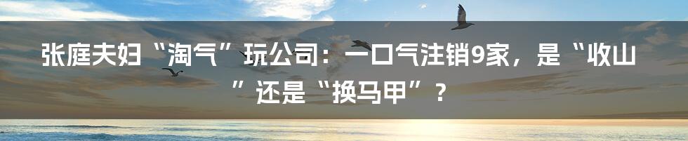 张庭夫妇“淘气”玩公司:一口气注销9家,是“收山”还是“换马甲”?