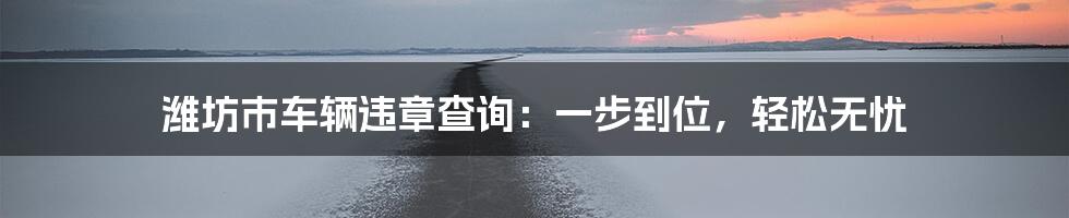潍坊市车辆违章查询:一步到位,轻松无忧