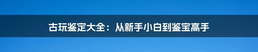 古玩鉴定大全:从新手小白到鉴宝高手