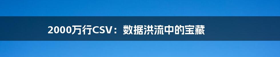 2000万行CSV：数据洪流中的宝藏