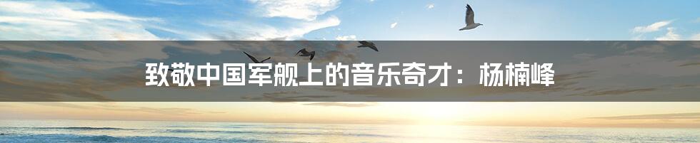 致敬中国军舰上的音乐奇才:杨楠峰