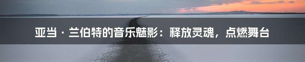 亚当·兰伯特的音乐魅影:释放灵魂,点燃舞台