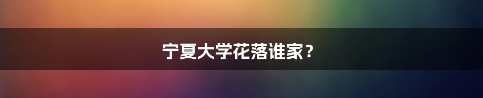 宁夏大学花落谁家?