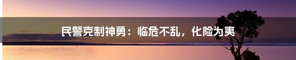 民警克制神勇:临危不乱,化险为夷